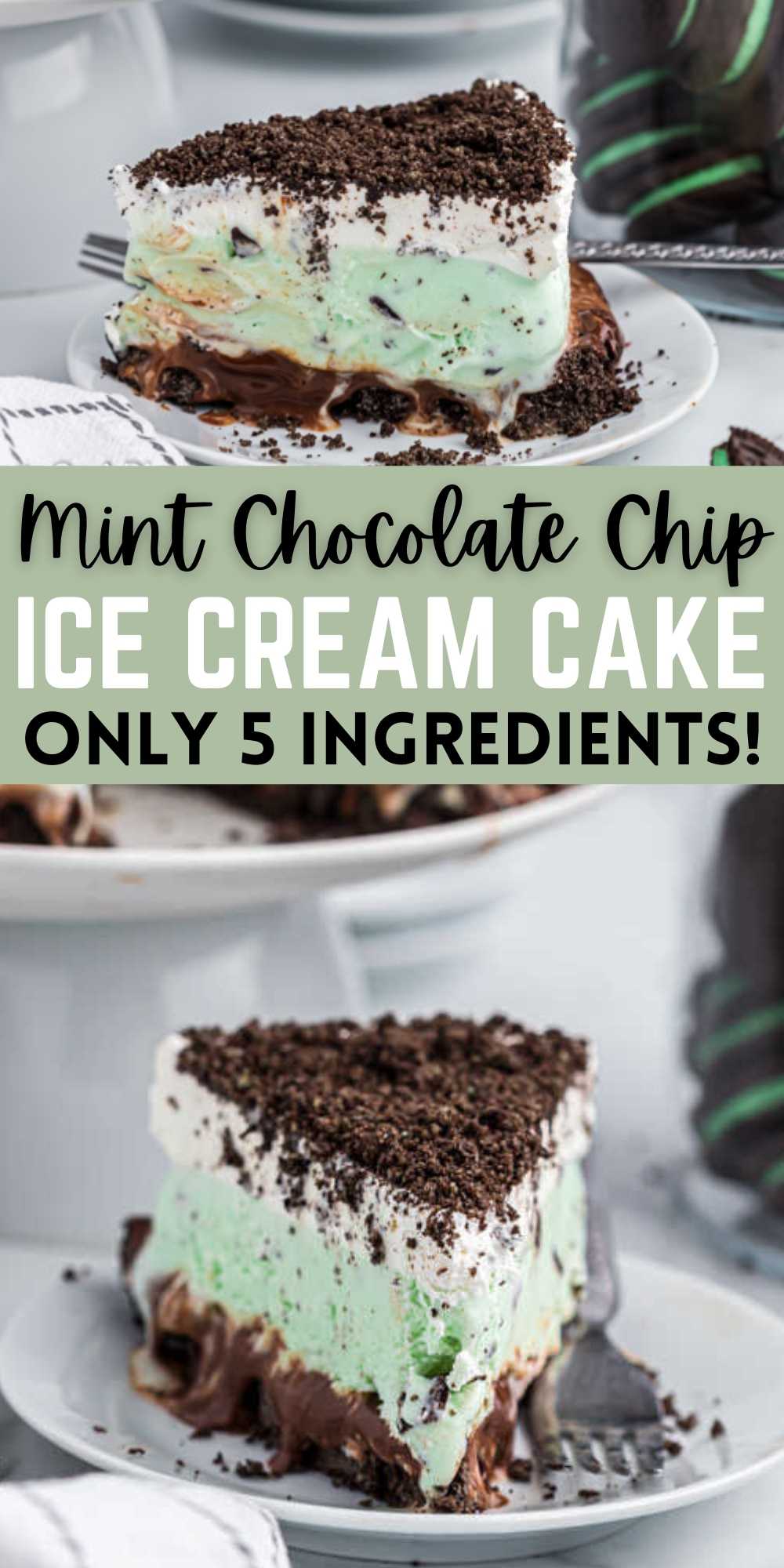 Mint Chocolate Chip Ice Cream Cake - homemade ice cream cake