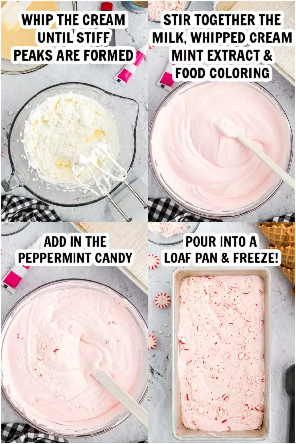 Peppermint Ice Cream 5 ingredients