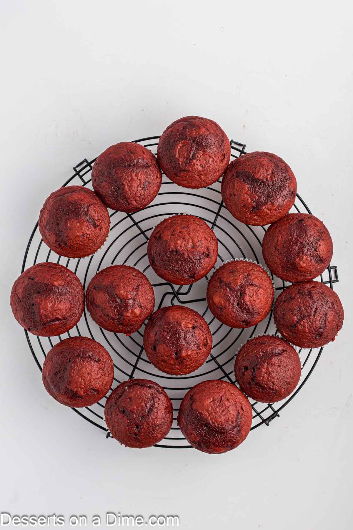Cupcakes on cooling rack. 