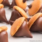 Chocolate acorns grouped together.
