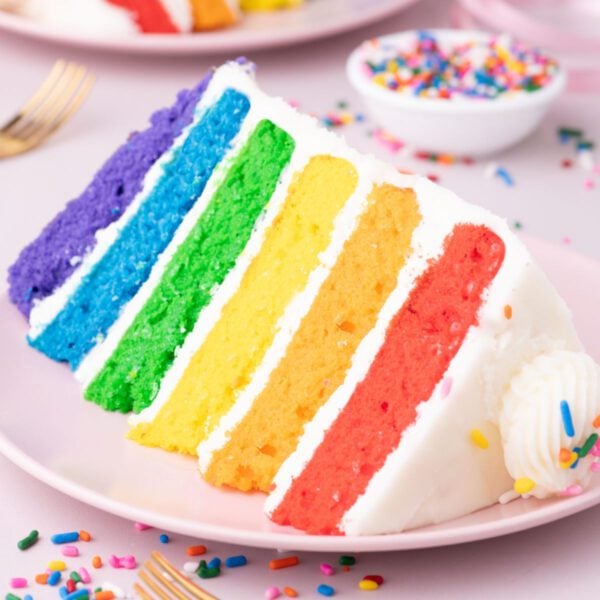 Slice of Rainbow Cake on a plate.