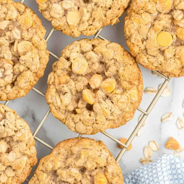 A cooling rack with oatmeal cookies on it.