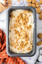 Nutter Butter Ice Cream - Desserts On A Dime