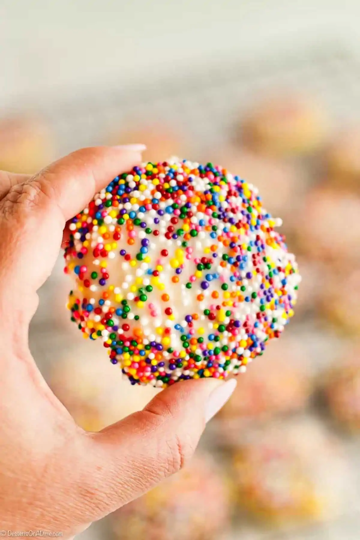 Hand holding an Italian Cookie. 