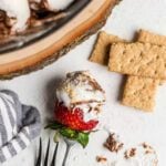Strawberry dipped in s'mores dip.