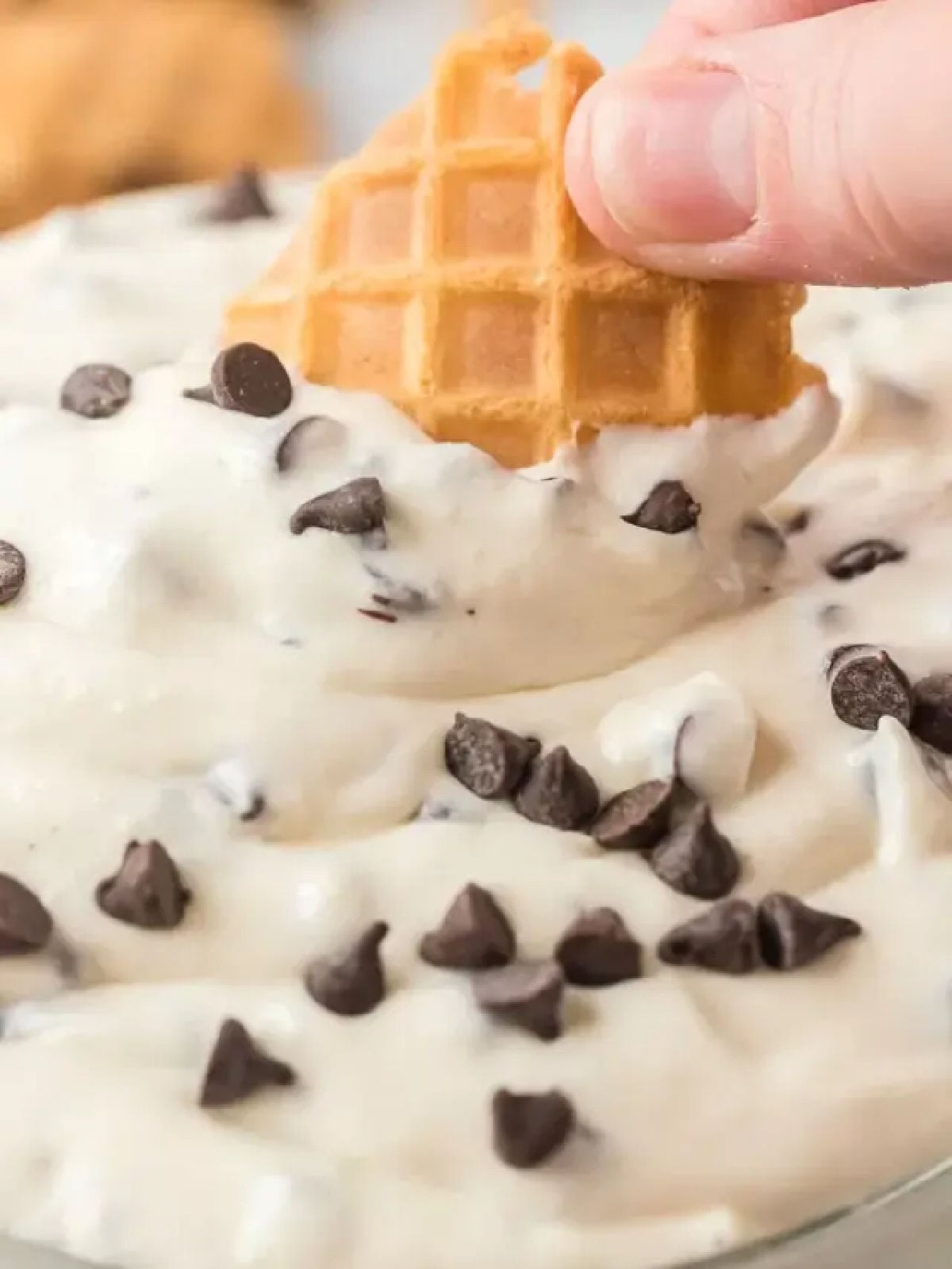 Dip poured in a bowl and topped with chocolate chips. 