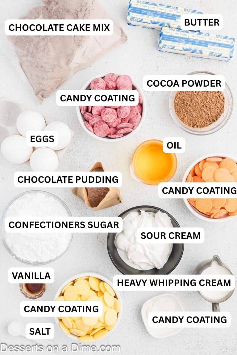 Ingredients for recipe: chocolate cake mix, pudding mix, eggs, sour cream, butter, powdered sugar, cocoa powder, heavy cream, salt, candy disks and edible marker.