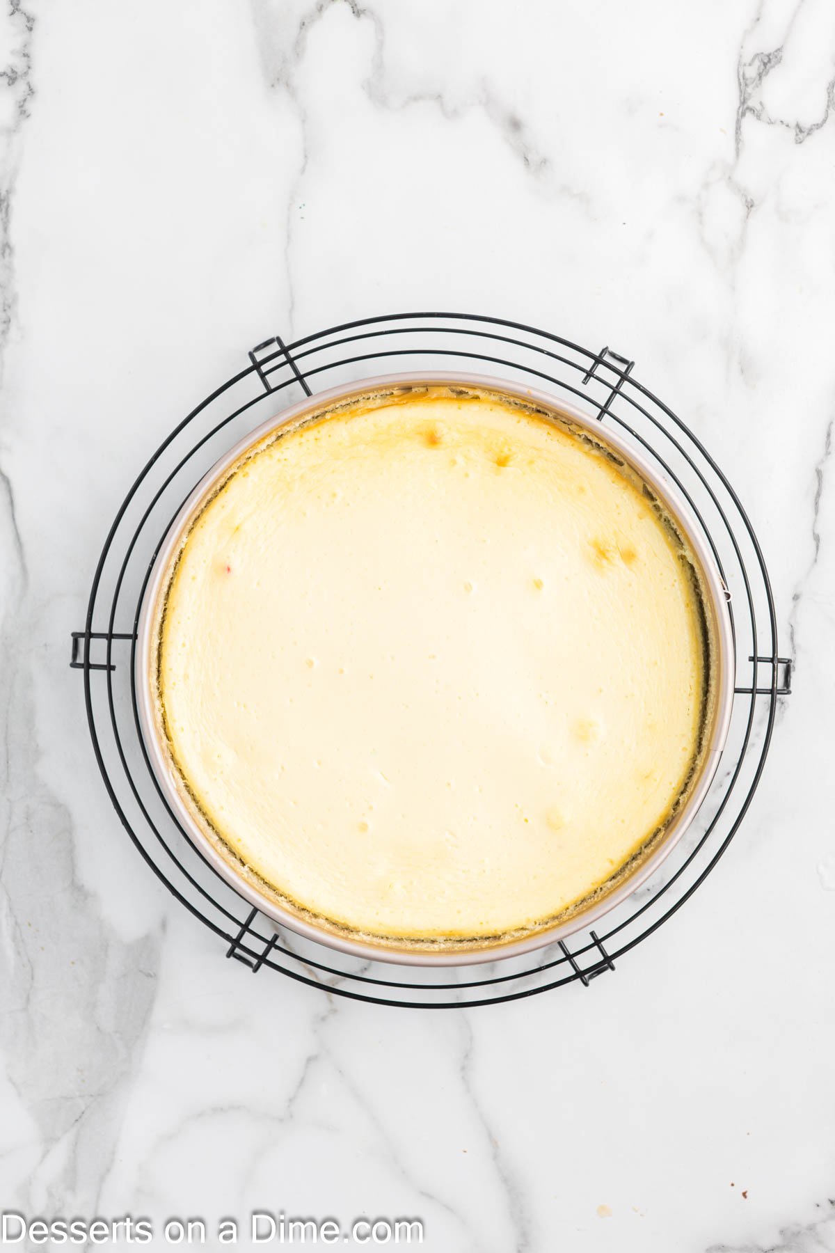 Cheesecake baked and cooling on wire rack. 