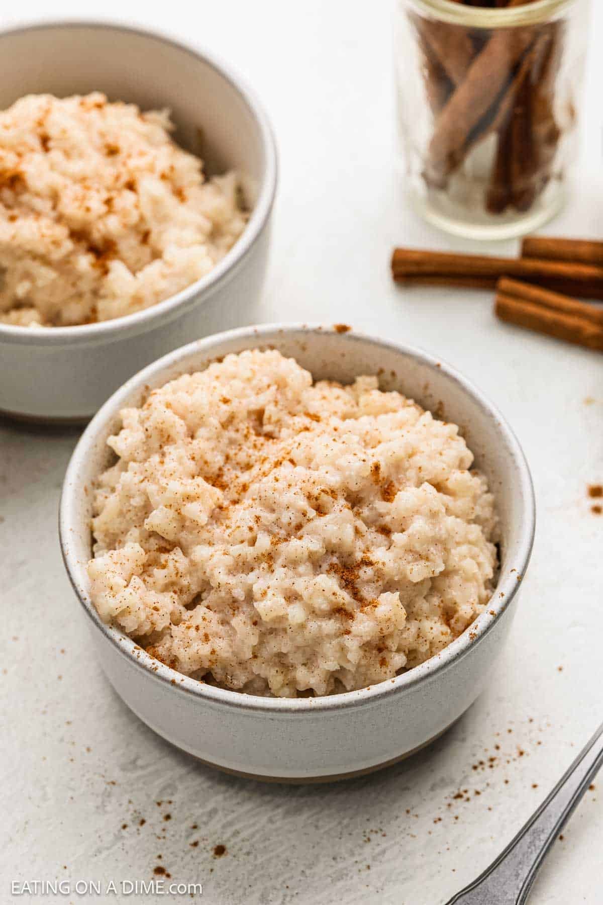Rice pudding in a white bowl sprinkled with more cinnamon. 