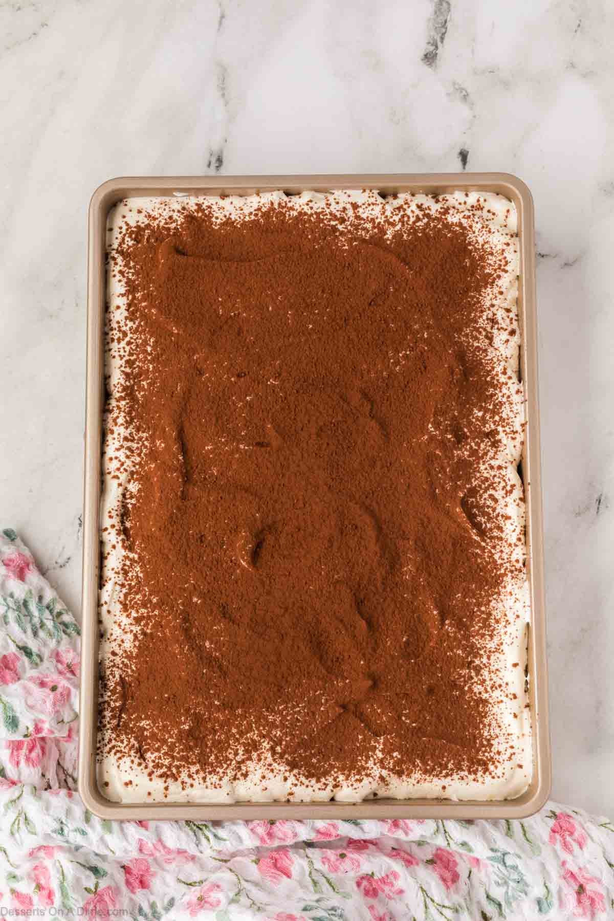 Espresso powder sprinkled on top of cake.