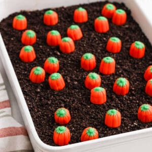 Pumpkin Patch Dirt Cake in baking dish ready to serve.